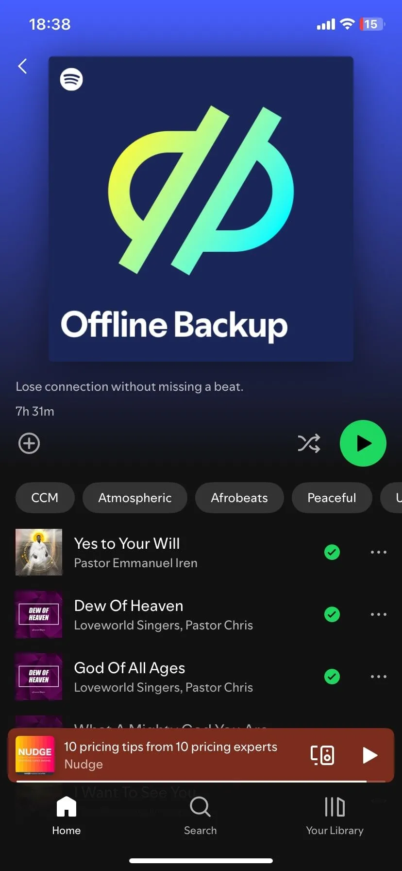 Danh sách nhạc đã tải xuống để nghe ngoại tuyến trên ứng dụng Spotify.