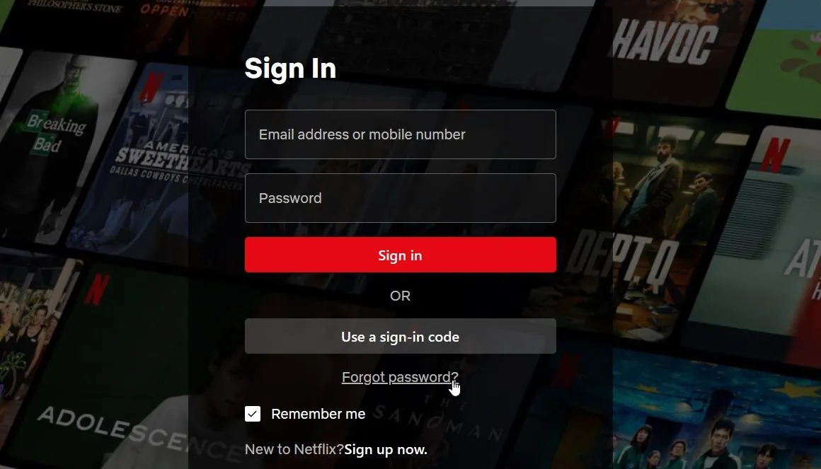 Giao diện đăng nhập Netflix với tùy chọn "Bạn cần trợ giúp?" để khôi phục tài khoản.