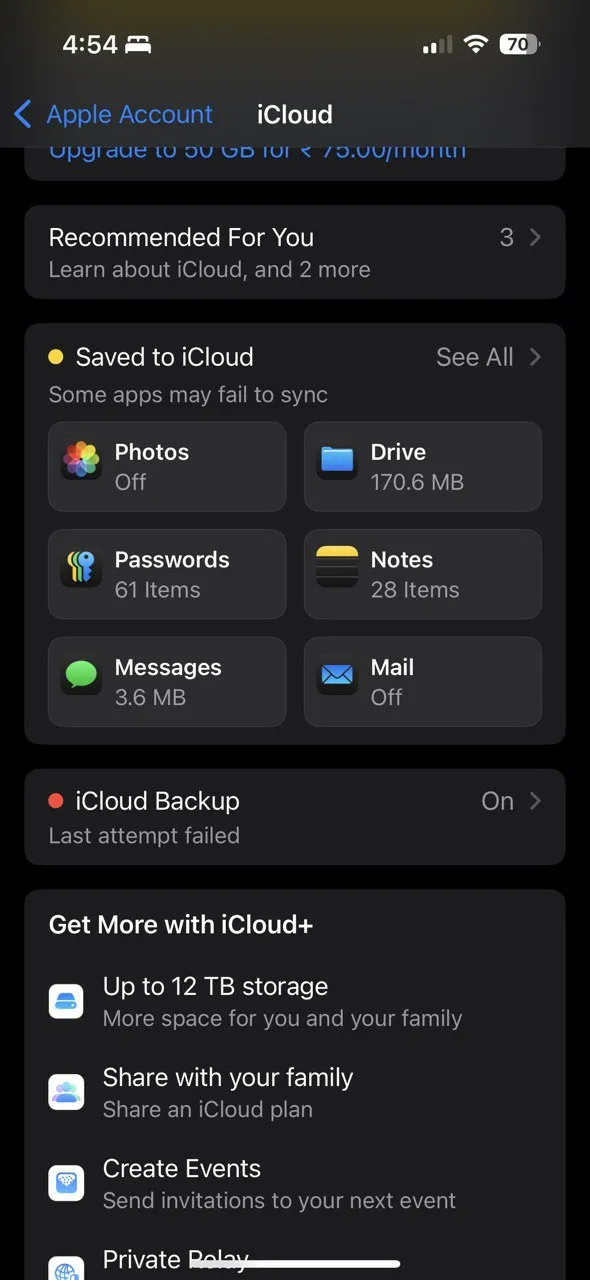 Giao diện hiển thị dữ liệu ứng dụng được lưu trữ trên iCloud, cho phép người dùng kiểm tra và xóa bớt để tiết kiệm không gian.