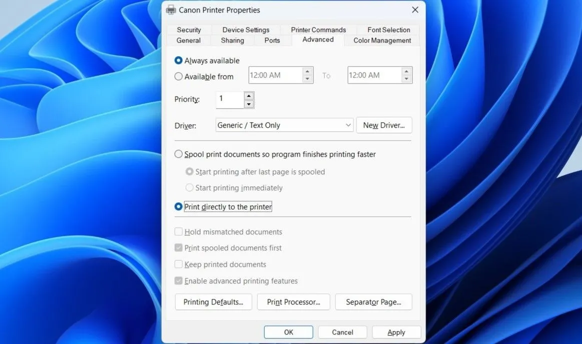 Hộp thoại thuộc tính máy in trong Windows để in trực tiếp