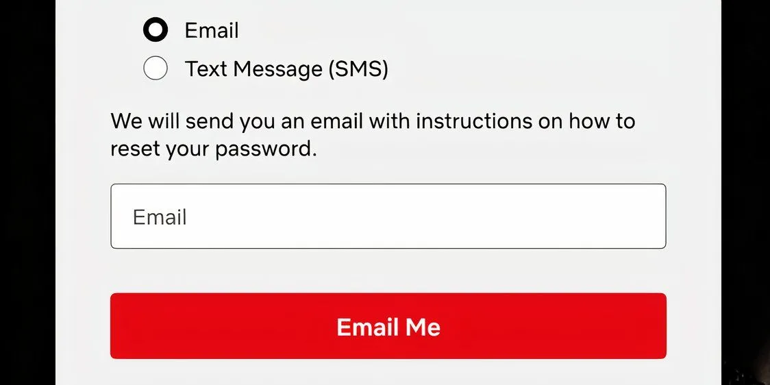 Màn hình yêu cầu nhập email để Netflix gửi liên kết đặt lại mật khẩu.