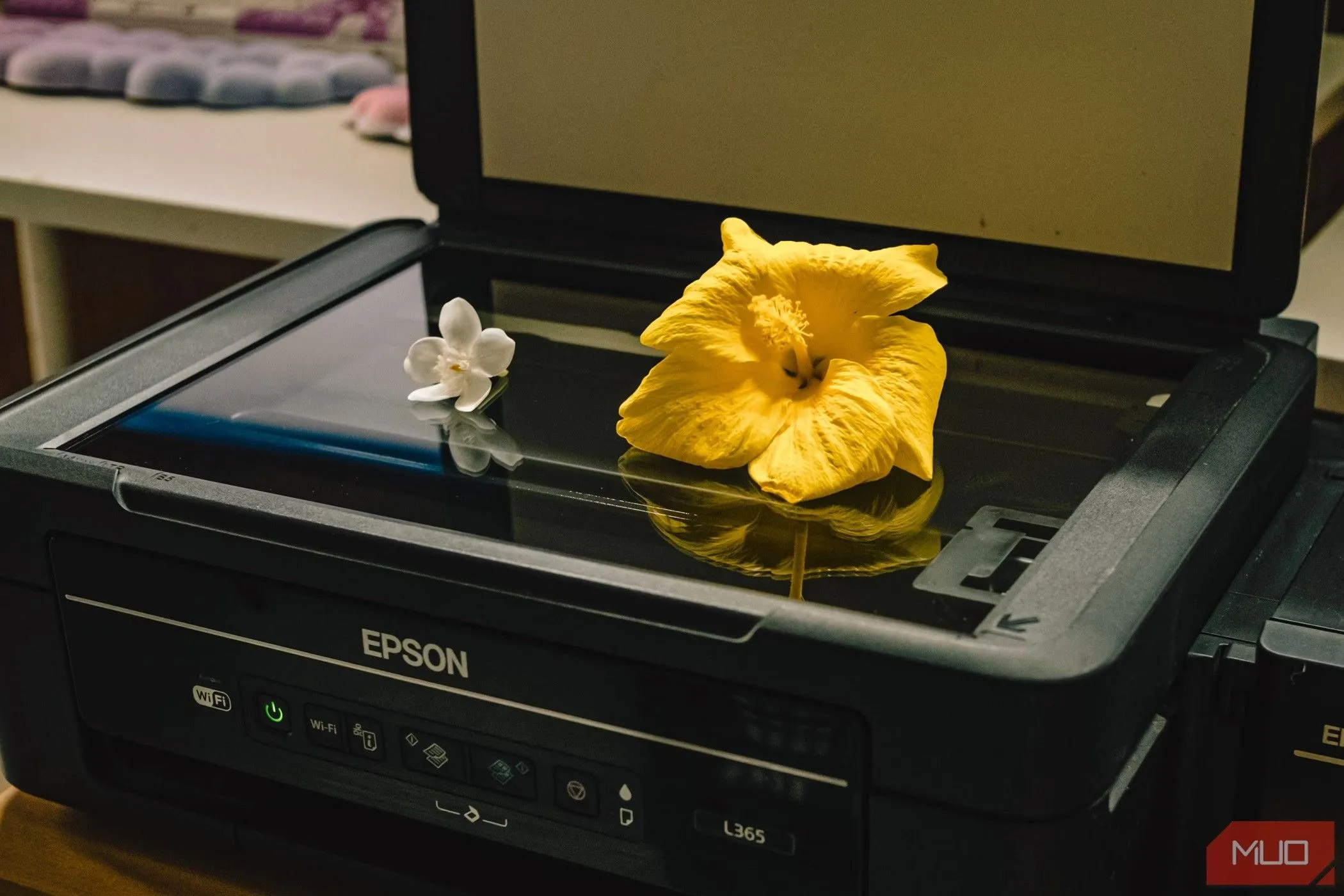 Máy scan phẳng truyền thống, thiết bị từng phổ biến nay đã bị các ứng dụng quét tài liệu trên smartphone thay thế