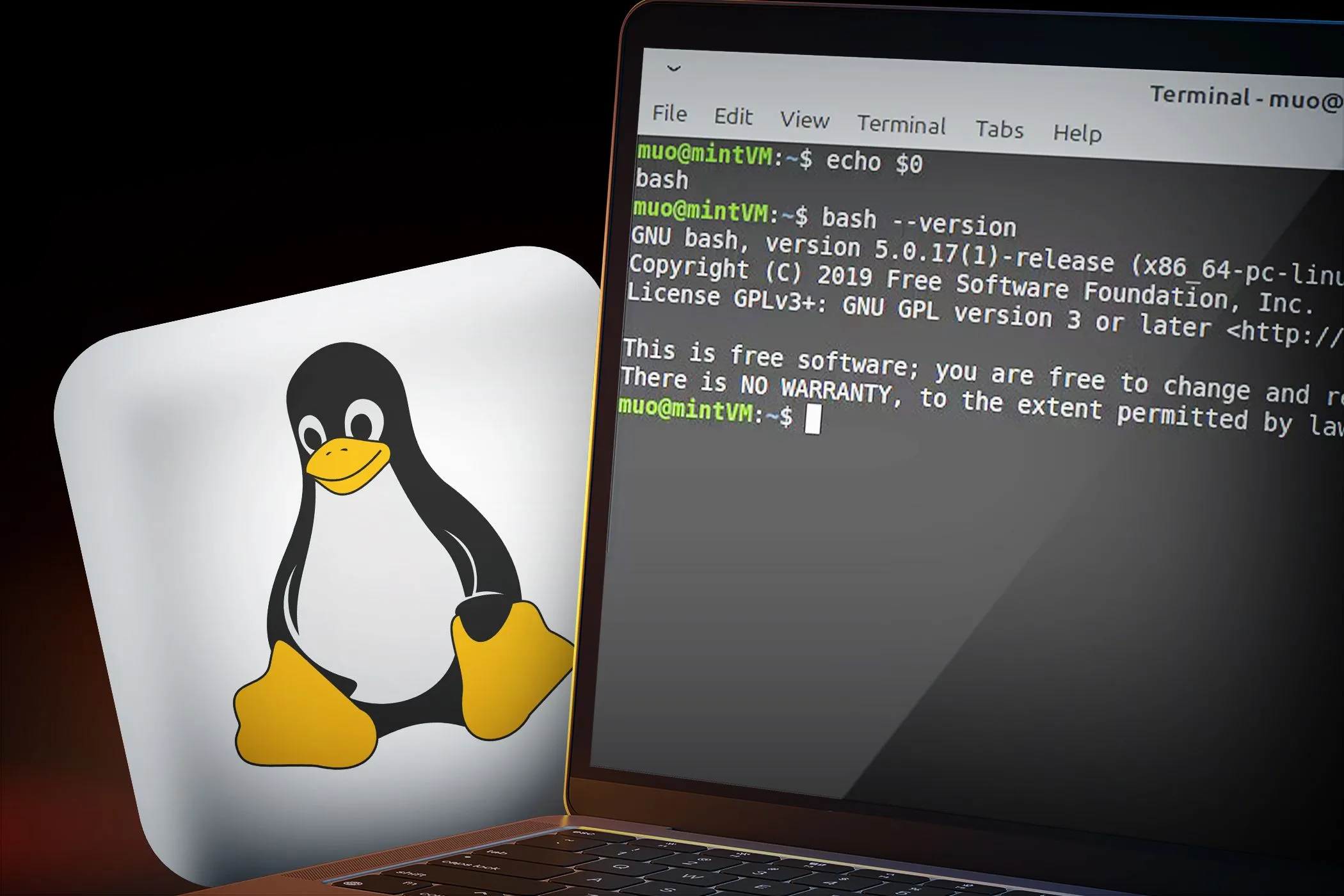 Máy tính xách tay hiển thị dòng lệnh và biểu tượng Linux, tượng trưng cho tính bảo mật của hệ điều hành