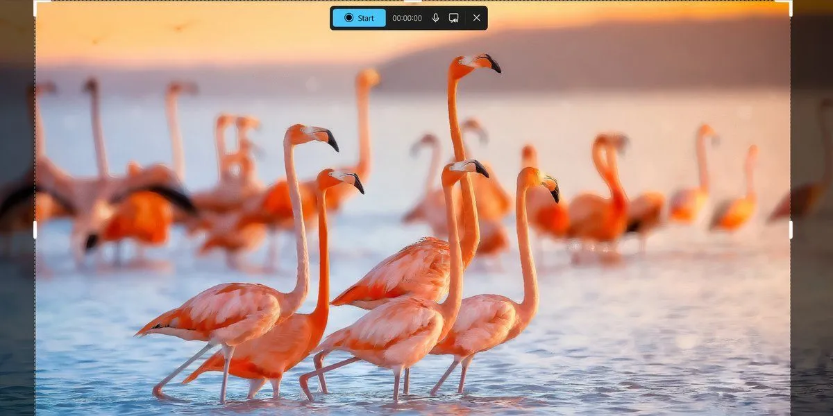 Menu tính năng quay màn hình và ghi âm của Snipping Tool trên Windows 11