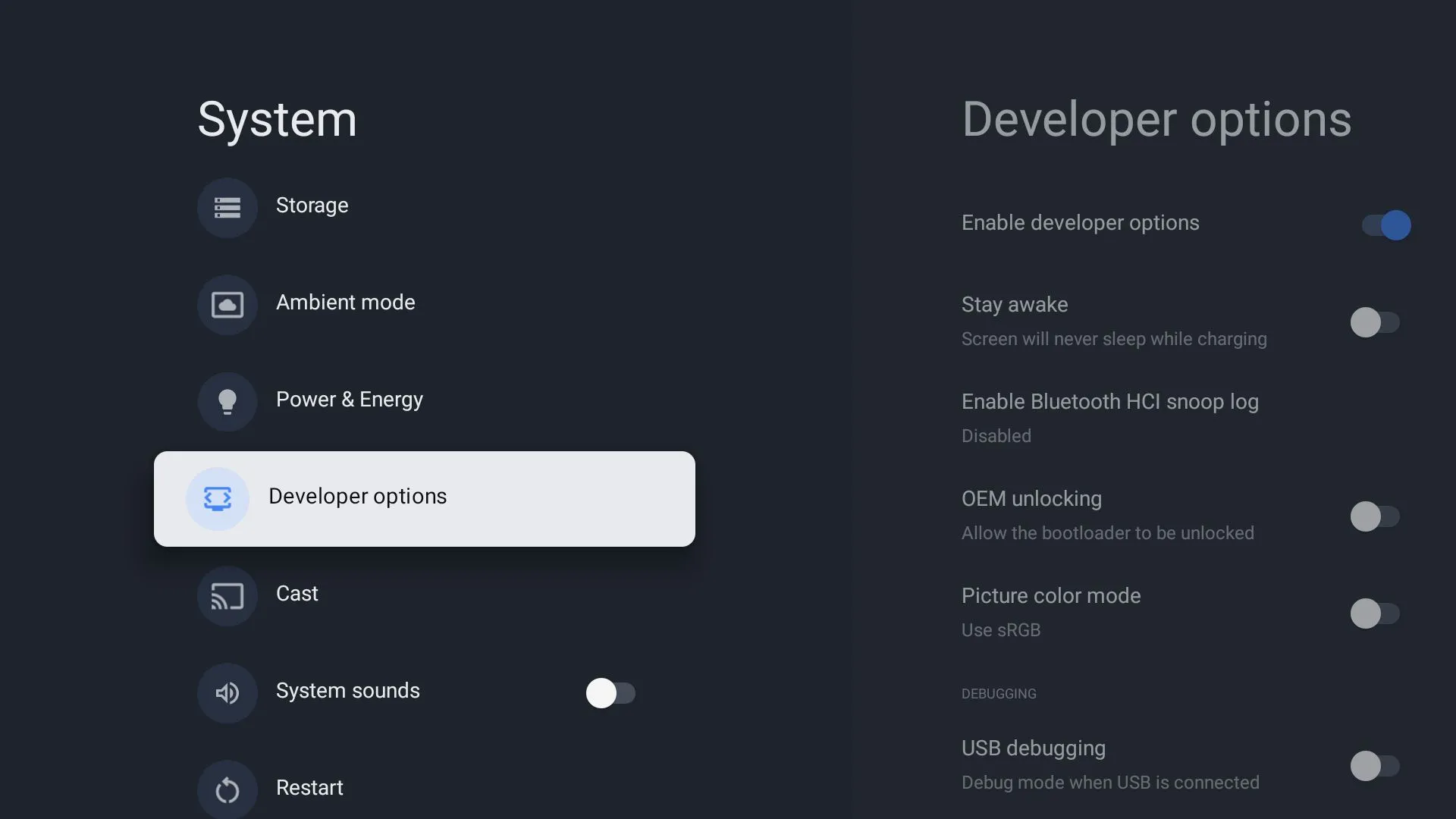 Menu Tùy chọn nhà phát triển (Developer Options) trên Google TV