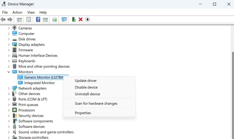 Mục Cập nhật driver màn hình trong Trình quản lý Thiết bị Windows