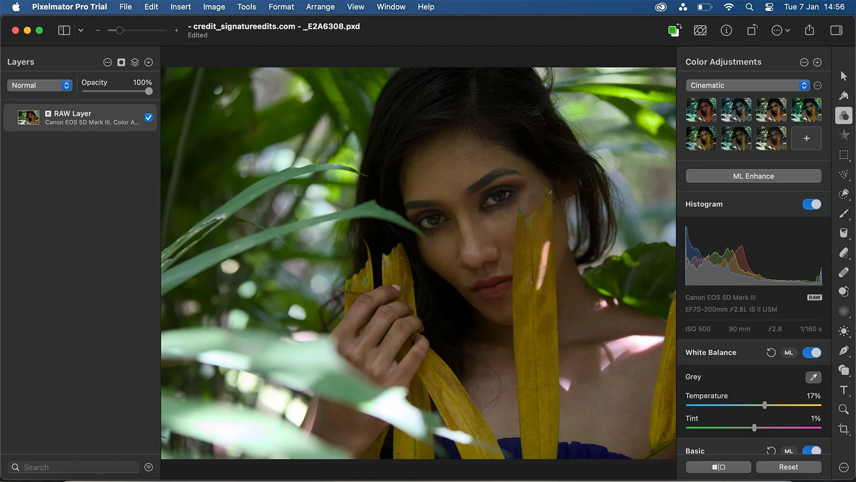 Pixelmator Pro xử lý ảnh RAW với các tùy chỉnh lớp riêng biệt