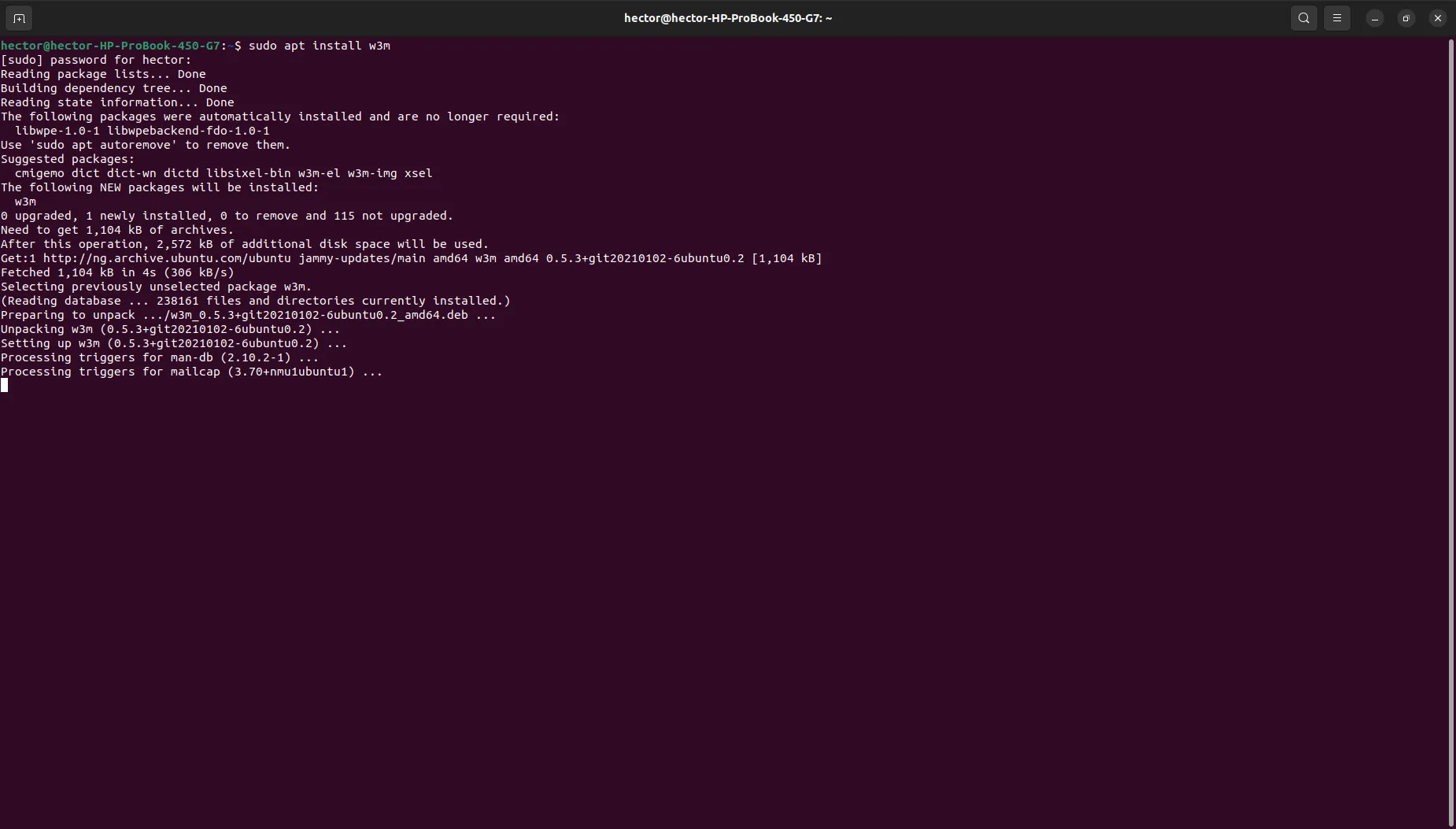 Quá trình cài đặt w3m trên Ubuntu thông qua lệnh sudo apt-get install w3m