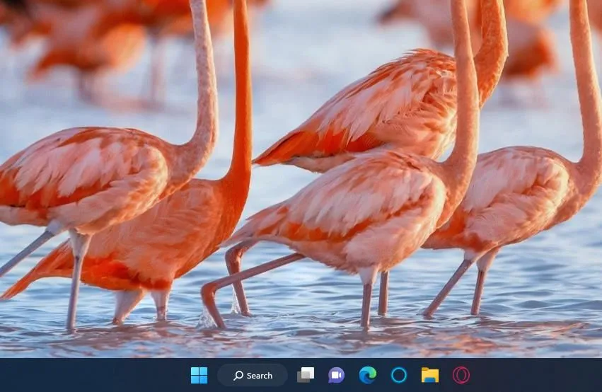 Thanh Taskbar của Windows 11 với các biểu tượng ứng dụng và khu vực hệ thống, giúp quản lý tác vụ hiệu quả