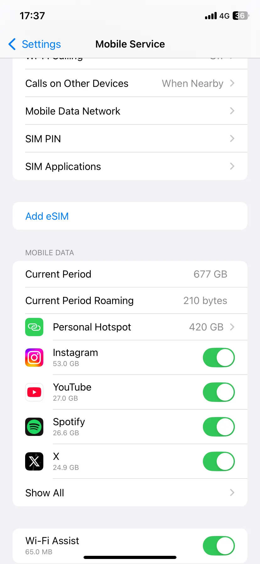 Trang cài đặt Dịch vụ di động trên iPhone