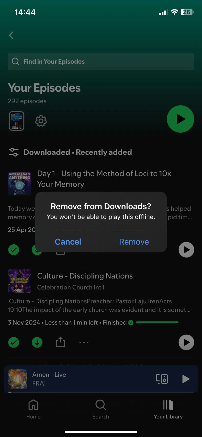 Xác nhận xóa các bản tải xuống trong ứng dụng Spotify để giải phóng bộ nhớ